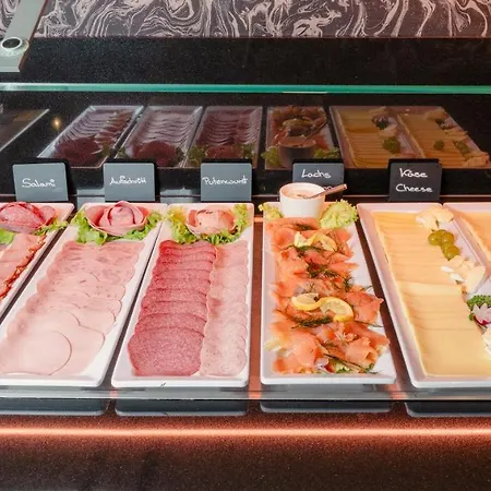 卡尔斯鲁厄牛顿酒店